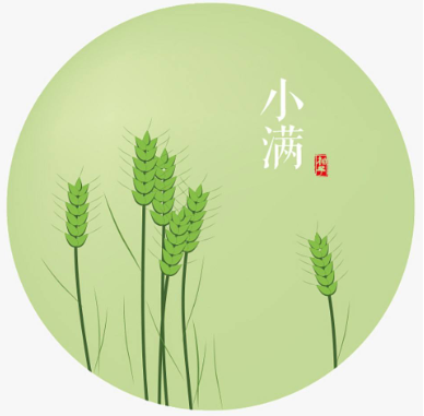 今日小满，小得盈满-赢咖7等离子清洗机